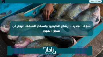 شوف الجديد.. ارتفاع الكابوريا وأسعار السمك اليوم في سوق العبور